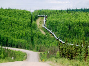 A37