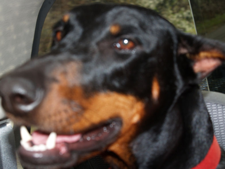 Ulla
