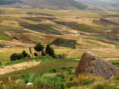LES ANDES